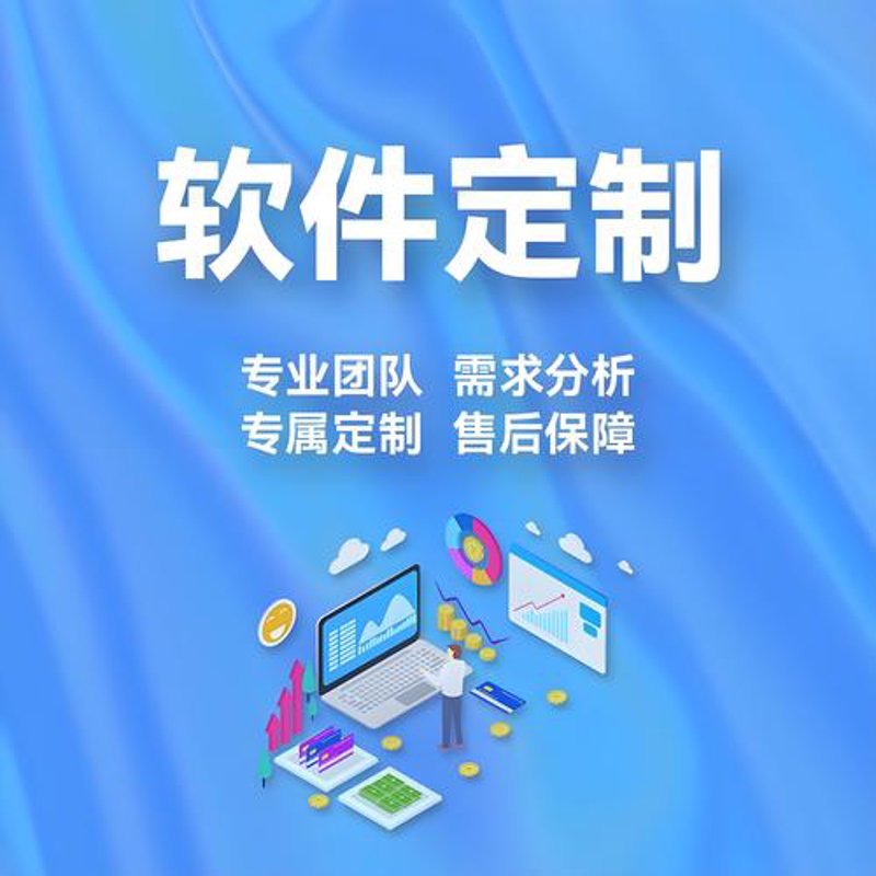 软件定制开发：构建个性化企业引擎